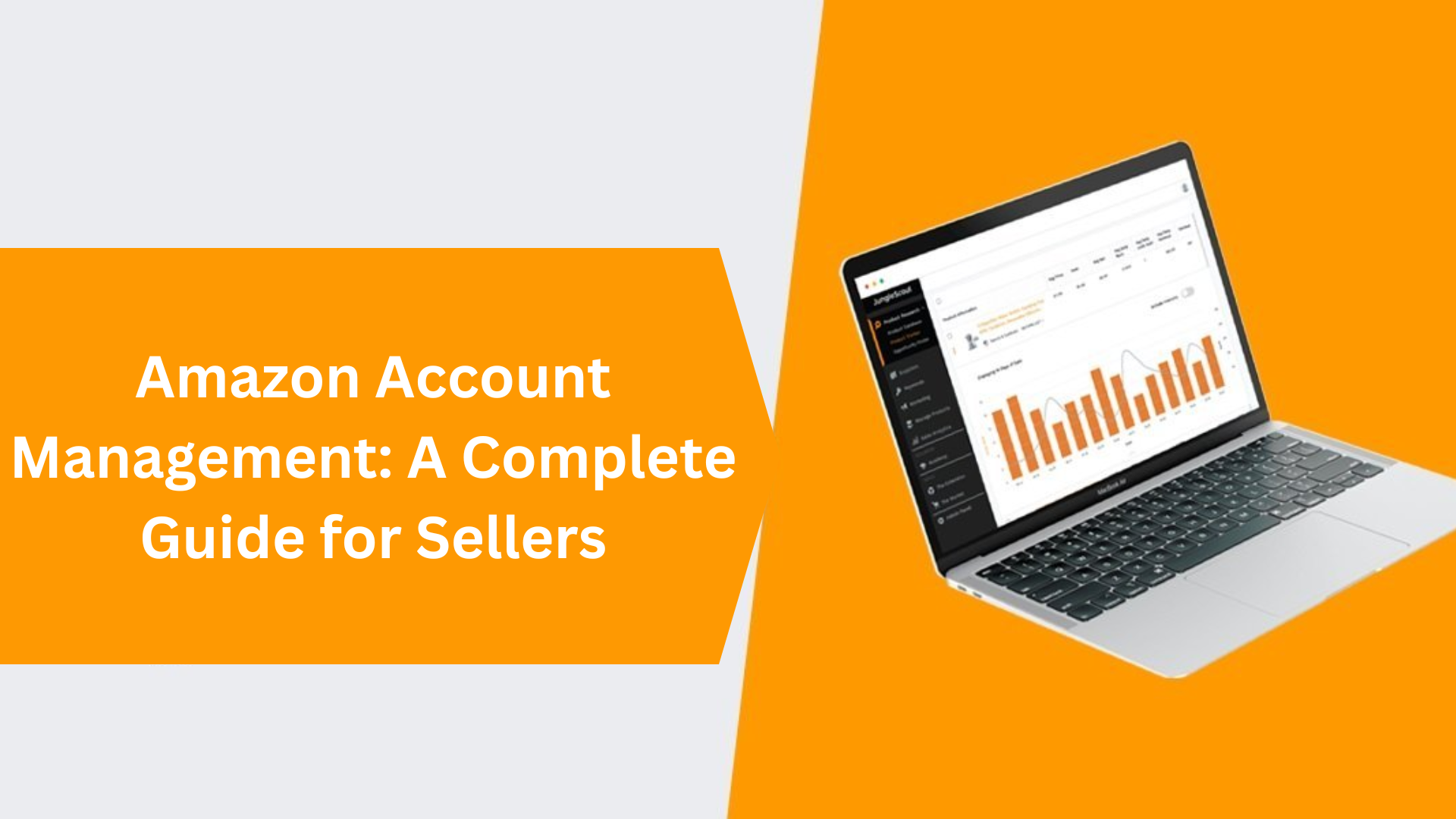 Amazon Account Management: A Complete Guide for Sellers